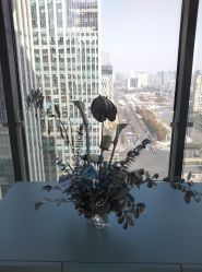-颜蕾医美·黄金微针·水光·玻尿酸·超声炮·抗衰中心