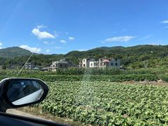 -北岐滩涂