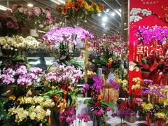 -金鹰超市(国际购物中心新街口店)