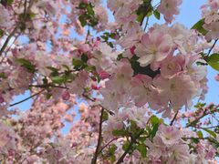 -大兴滨河森林公园