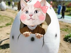 -西海岸生态观光园