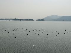 -无锡蠡湖国家湿地公园-蠡园