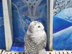 -成都浩海立方海洋公园