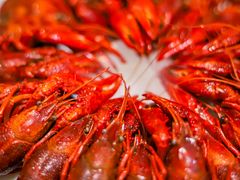 -香满锅老北京羊蝎子火锅·家常菜(新街口店)