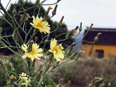 -雨花胜境