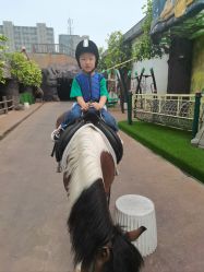 -宝燕乐园(闵行旗舰店)