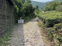 -缥缈峰景区