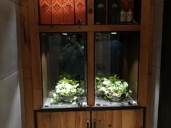 -比格比萨自助(花园路店)