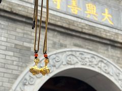 -西安大兴善寺
