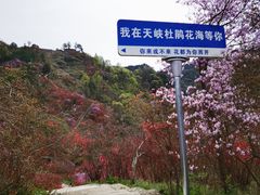 -岳西天峡风景区
