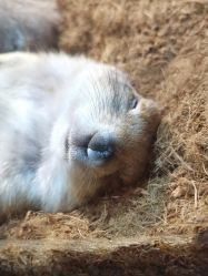 -Zoolung Zoolung动物主题公园(海信广场店)