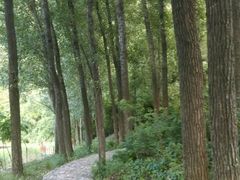 android_upload_pic-白河湾生态旅游一条川