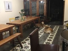 -两棵枇杷树