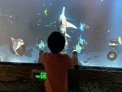 -沈阳海洋探索中心