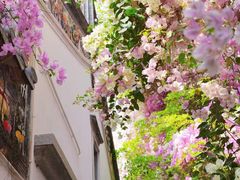 -深圳国际园林花卉博览园