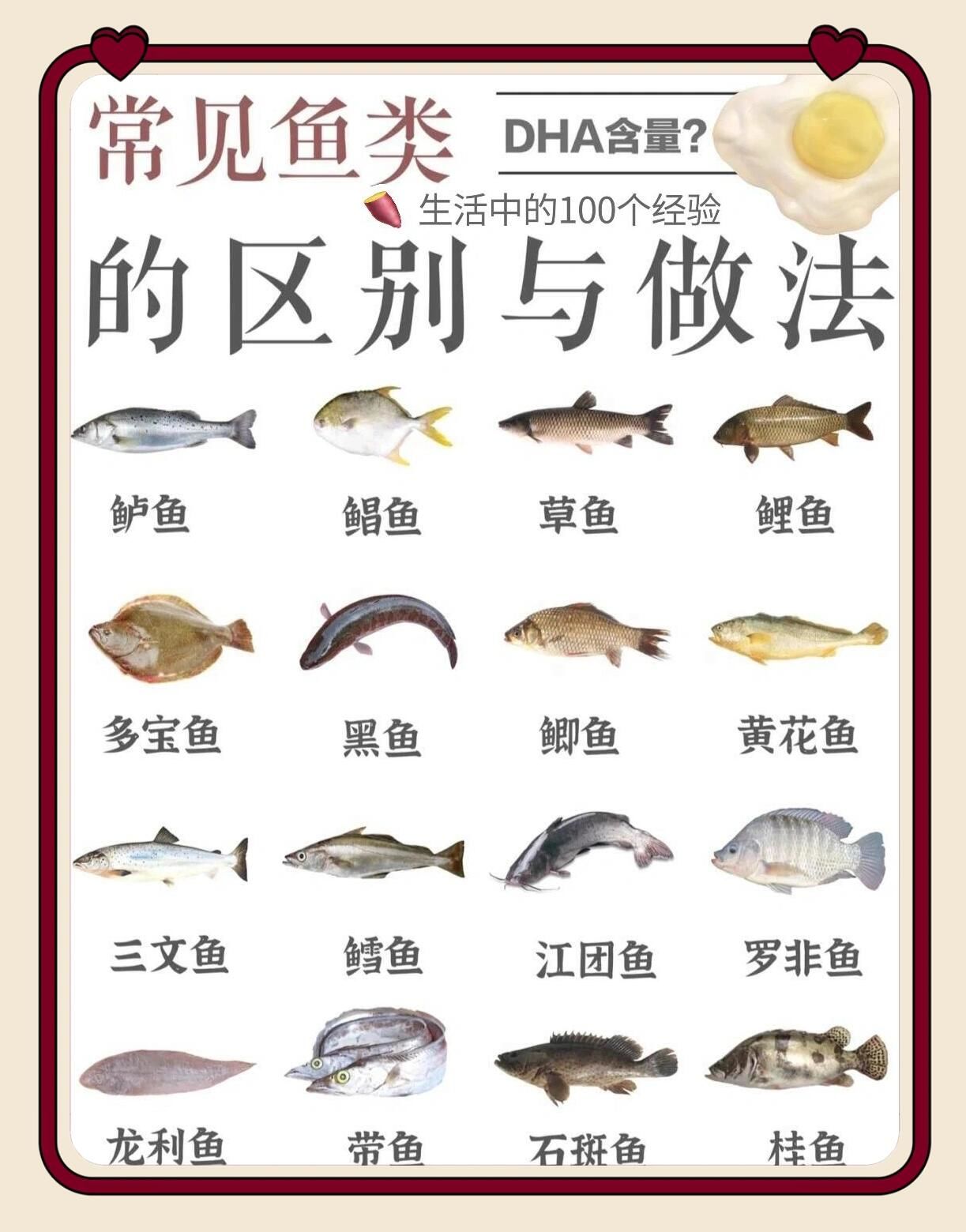 常见鱼类辨识与烹饪秘籍大公开