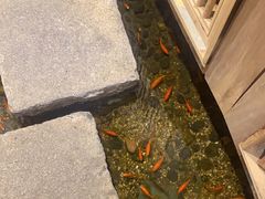 -邈墨茶馆(凤起路店)