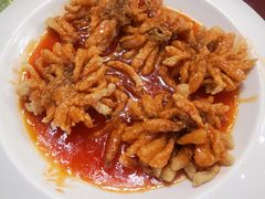 -重庆长寿碧桂园凤悦凤凰酒店