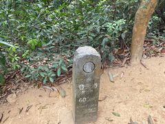 -梧桐山风景名胜区