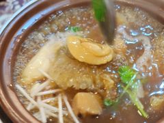 -大中鱼翅 Taitong Shark Fin