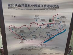 -铁山坪森林公园