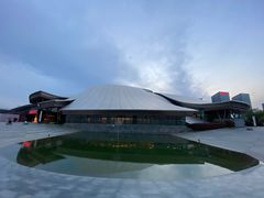 -合肥大剧院