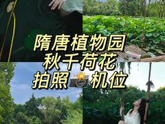 -洛阳市隋唐城遗址植物园