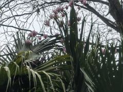 -海兰云天度假区温泉