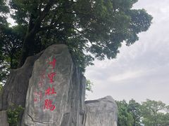 -梧桐山风景名胜区