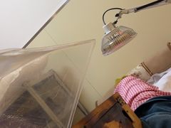 -冬日中医馆(枋湖店)