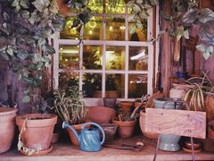 -The Grounds of Alexandria