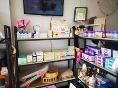 -70cat德文卷毛猫·缅因猫纯种猫舍