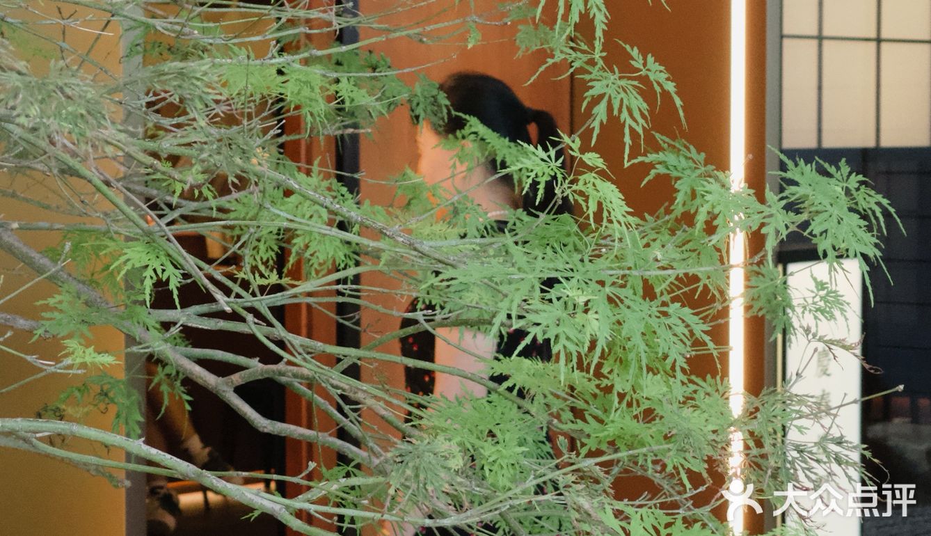 误入一家高档但又平价的素食餐厅