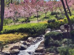 -大连植物园