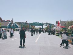 -荷兰花海
