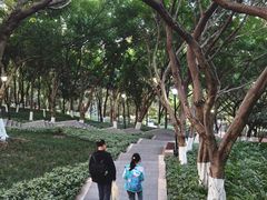 -龙头寺公园