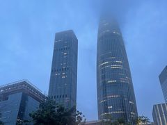 -华润深圳湾体育中心-“春茧” 体育馆