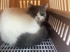 -联合动物医院(光谷诊疗中心)