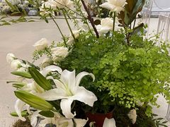 -北京三里屯CHAO酒店