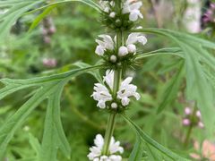 -广州神农草堂中医药博物馆