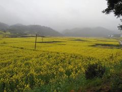 -新安江山水画廊风景区