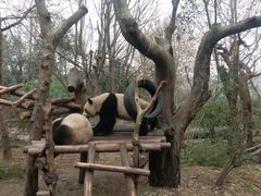 -石林冰雪海洋世界