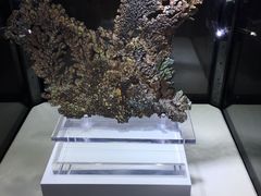 -中国地质大学逸夫博物馆