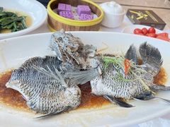 -骏莱海鲜鱼港(五角场店)