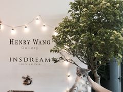 教室环境-INSDREAM FLOWER 鲜花预定·花艺培训