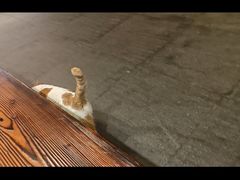 -少林功夫文化中心·独门独院