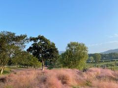 -钟山体育运动公园