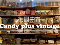 -Candy plus vintage桃园中古