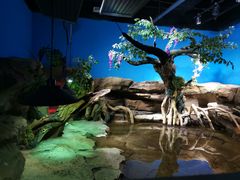 -沙沙哗啦海洋馆(华宇百花谷店)