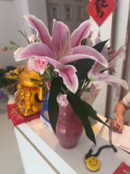 -Dr.林醫生产后修复·配方产康店(南京大厂店)